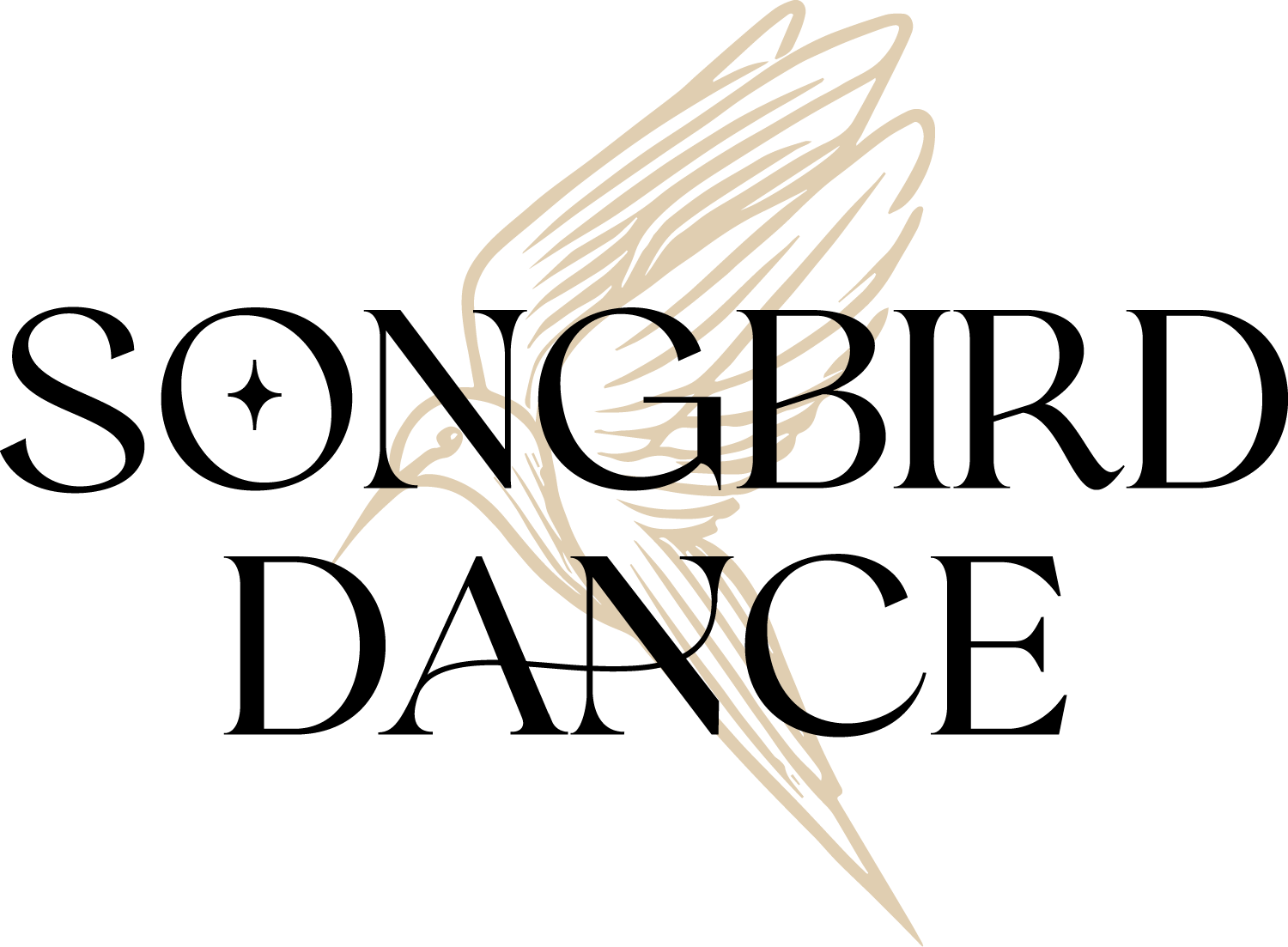 Guide for Beginners - Songbird Dance Studio | San Francisco, CA